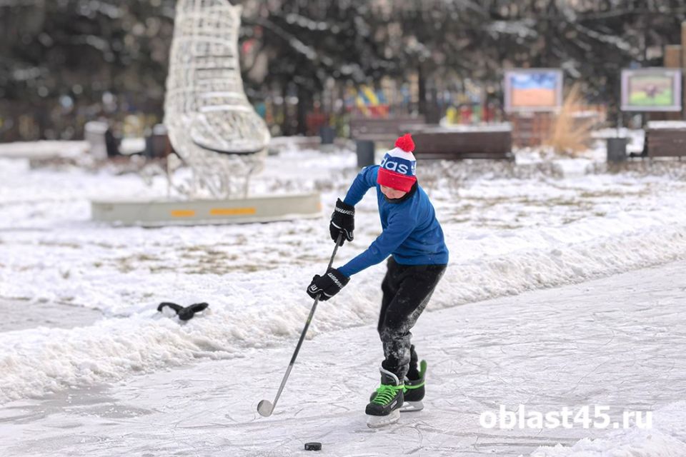 ����� 13 ��������, ��� �������: ������ � ������� �� 28 �������