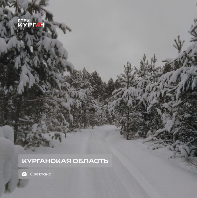 ������ ����, ���������!. ������� ����� ��������, � ������ � ������� ������� ����