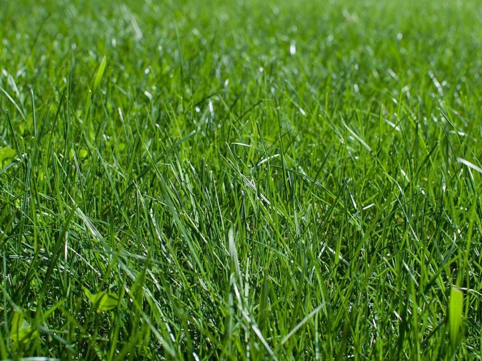 ��� ������� ������ ��������: ������� ����� ������