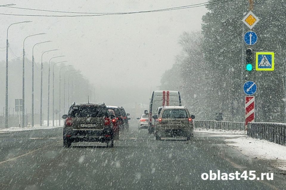 В Курганской области из-за снегопада закрыли федеральные и региональные трассы