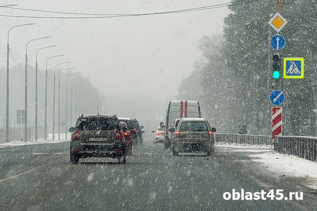 В Курганской области из-за снегопада закрыли федеральные и региональные трассы
