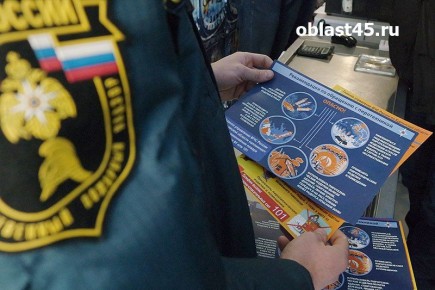 Как провести Новый год без пожара курганцам рассказали в МЧС