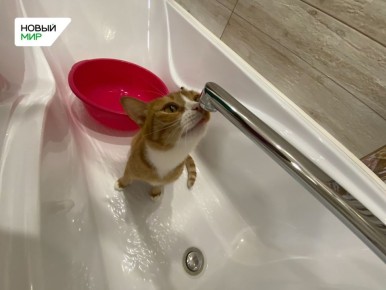 "������ ����" �������� �� ��������� ���� � ������� � ���������� ��������