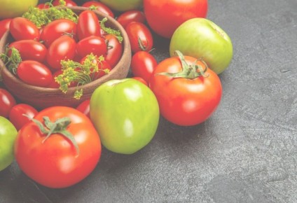 ����� ���������� ����� �������� �� ������ ������ ����� 800 ���� ������ � �������