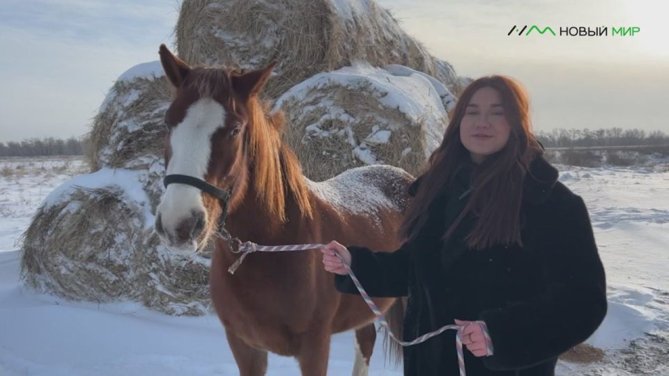 Команда "Нового мира" и лошадь Лада поздравили курганцев с Новым годом