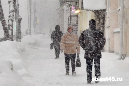 В Курганской области все январские праздники будут идти снегопады