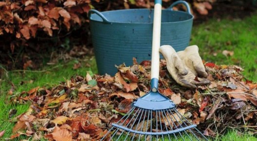 Как осенние заботы могут подарить богатый урожай в следующем сезоне