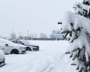 ���������������� ������� ����������� ���� ���������� �������� � ����������� ����� �����!