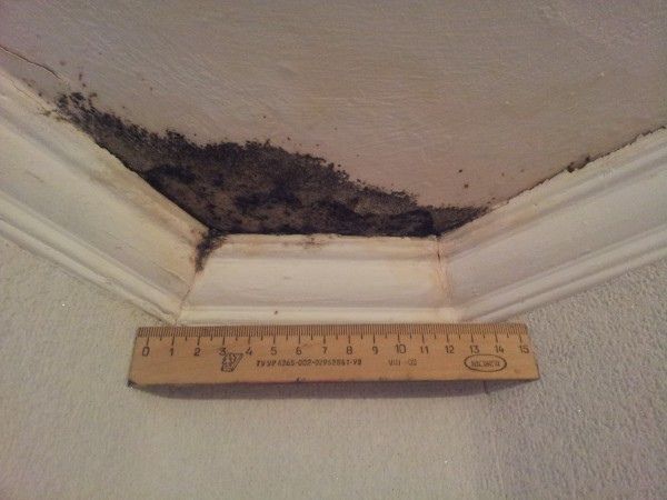 ��� �������� ������������� ��� ������� ��������: �������� ��������������� � �������������