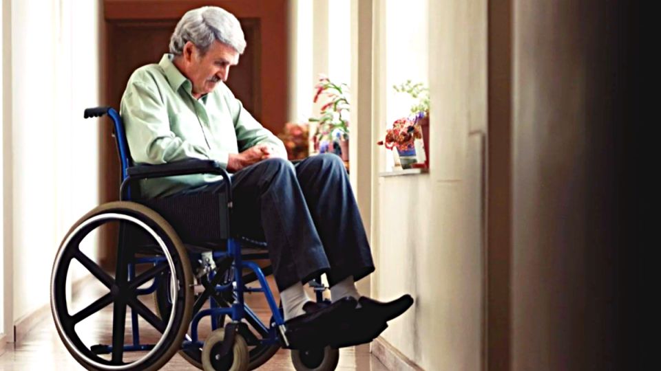 ������ �� ������������ � 2026 ����: ���, ��� ����� �����