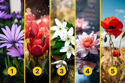 Выберите цветок, который вам ближе: психологический тест на выявление сильных сторон