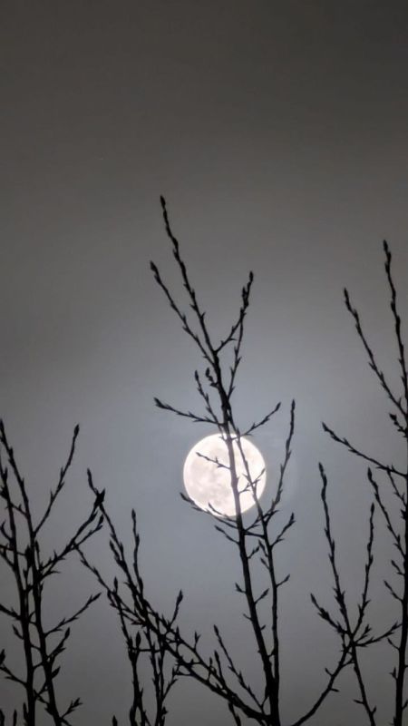 ������ ���������� � ���� ����