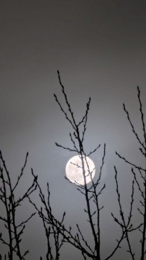 Первое полнолуние в этом году