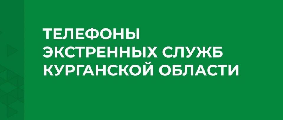 Друзья, впереди длинные новогодние каникулы