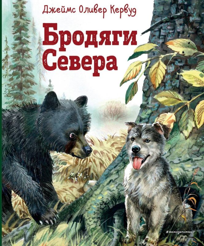 Книги для уютных зимних вечеров