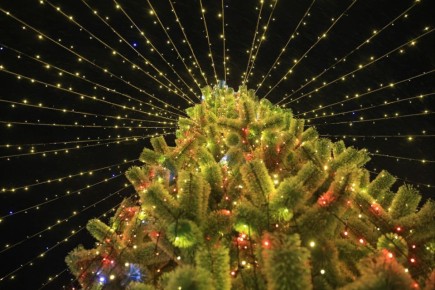 ������, ���������� ��������� ��� � ������������� ����������, �������������� ������������ �������� ���������� ������� �� ��������