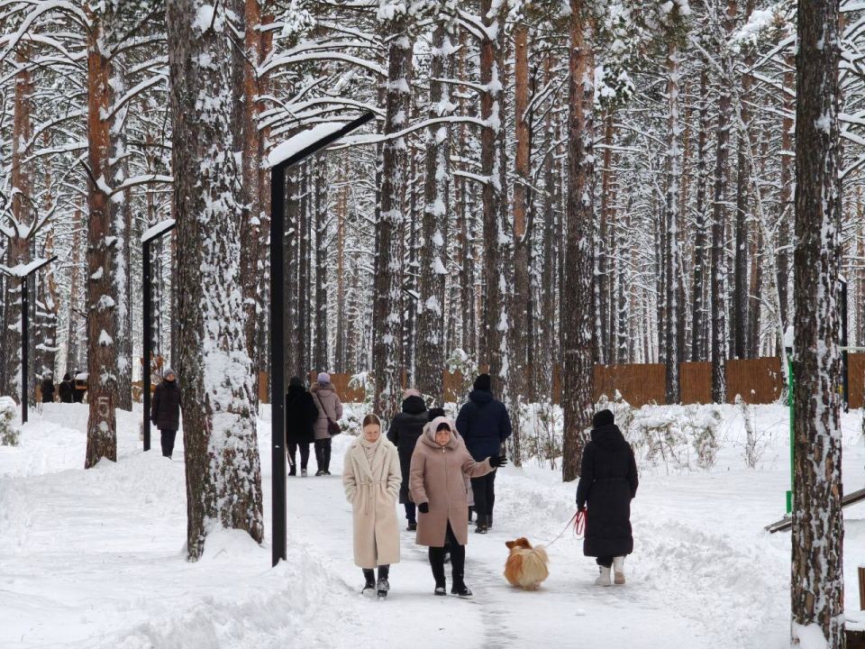 ���� ������� ��������?. � ����� ������� � �������