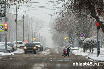 Пикап вместо легковушки: как новый утильсбор меняет авторынок для курганцев