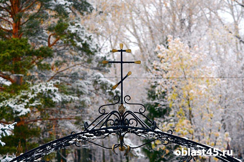 ������: ����� �������� � ����� �������� ������������ ����� ��������� ������ ���