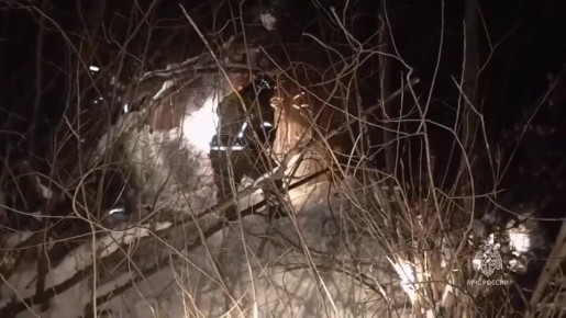 ����� �� ����� ������ � �������