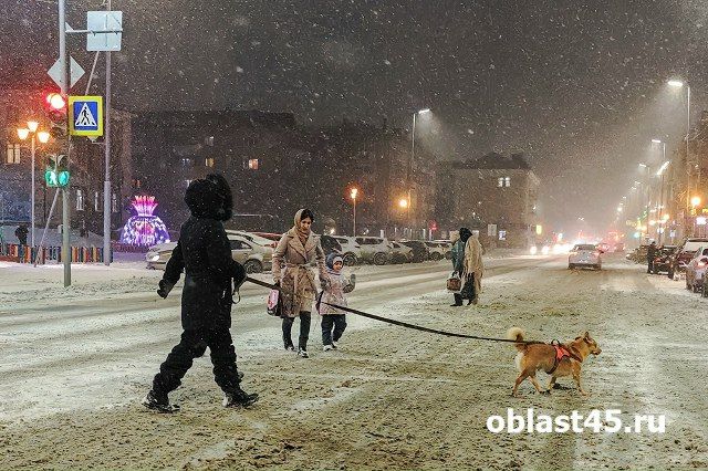 ���� ��������� ����� ����� �� ����� �� ���������� ������ ������ �������