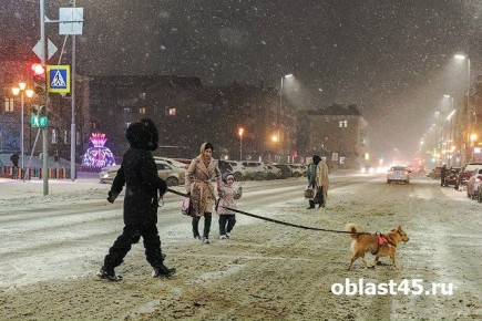 Мамы вынуждены нести детей на руках по заваленных снегом дворам Кургана