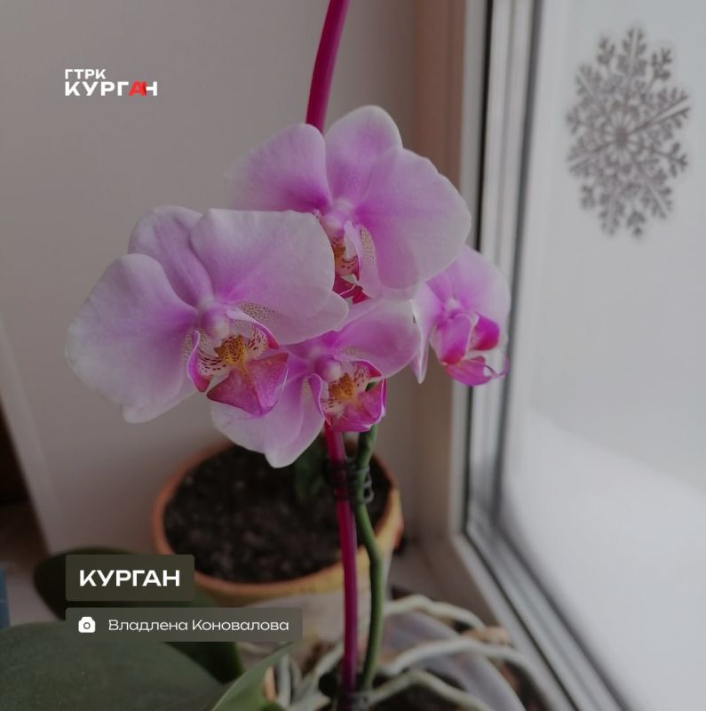 ������ ����, ���������!. ������� ���� � ������� ������� ����