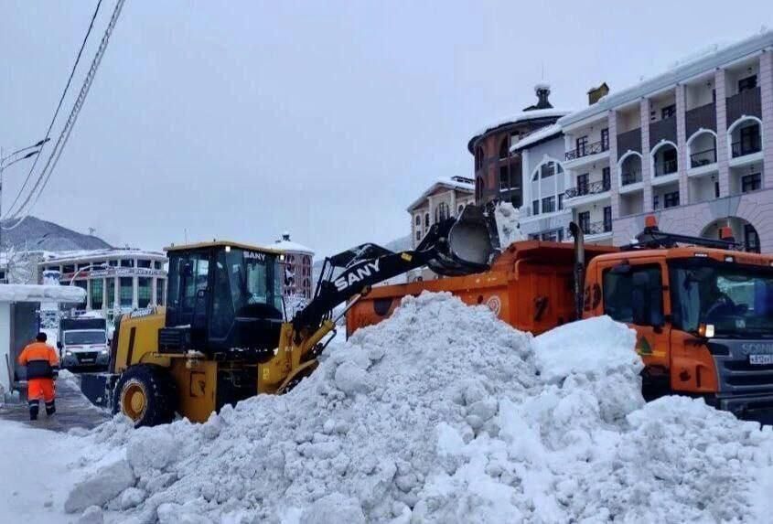 �������� �� ������ ������� ����� ����� � ��������� 43 ������ �������