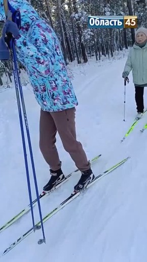 91-������ ���������� ������� ������ �� ����