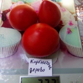 ����� ���������� ������: ��� ����� ����� ����������� �������