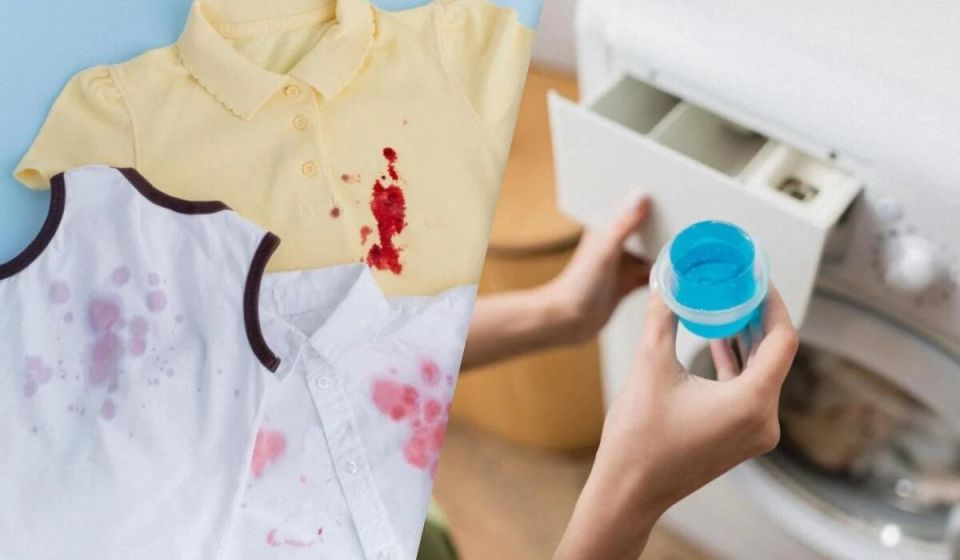 ����������� ������� ���������� �� ����� �����: ���� ��������� � ������