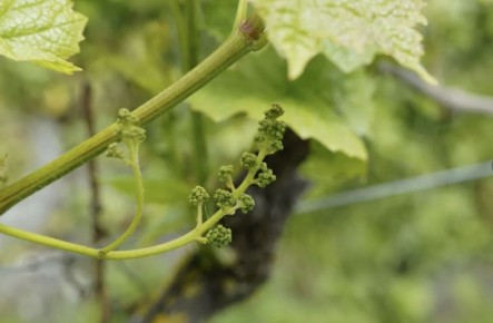 ���� �� ���������� � ������ ����: ������� �������� ������