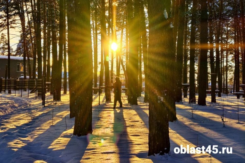 ������ ����� ������� ��������� � ���������