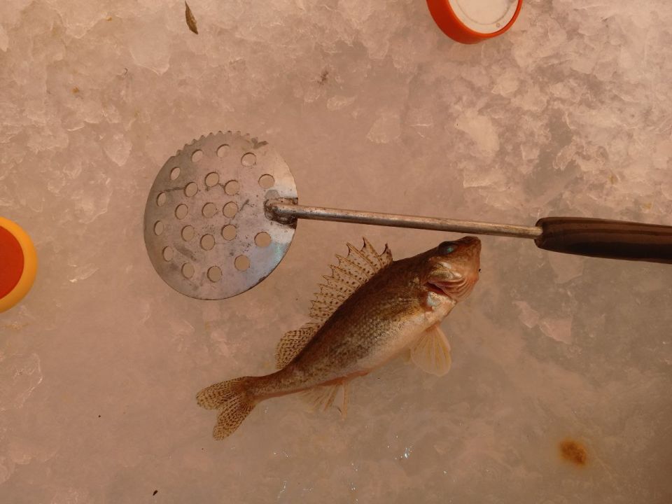 �������� ��������� � ������ ����� ���� �� ����� ������