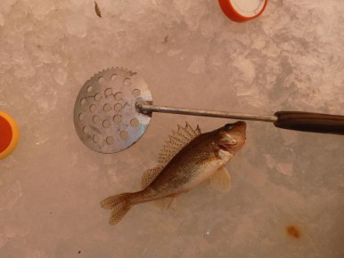 Курганец рассказал о плохой ловле рыбы на озере Орлово