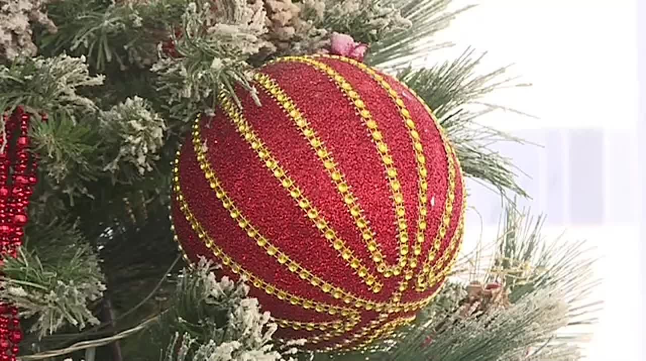 Поздравление митрополита Курганского и Белозерского Даниила с Рождеством