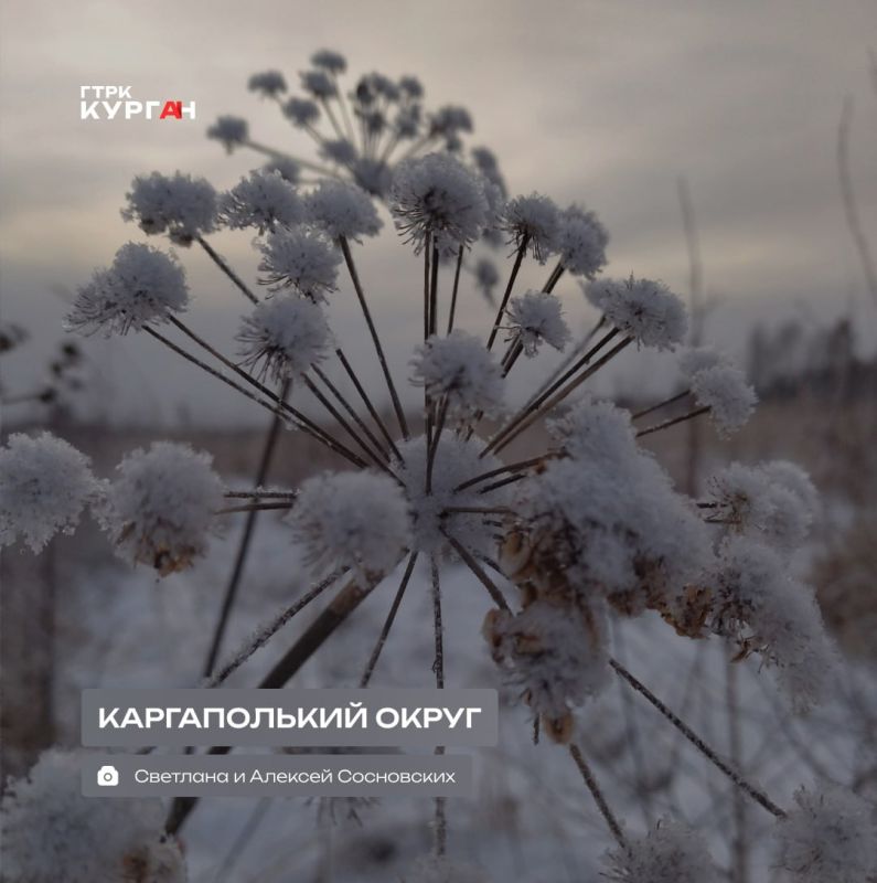 ������ ����, ���������!. ������� � ������� ����� ����� ������