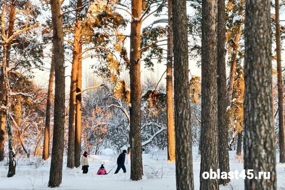 ������ �������� 8 ������ �������� �� ����� 22 ��������