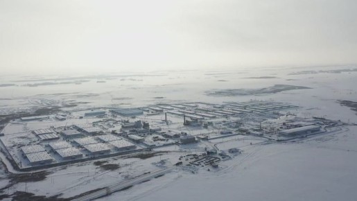 Аграрии Курганской области в прошлом году собрали очередной рекордный урожай - более 2,5 млн тонн зерна и маслосемян