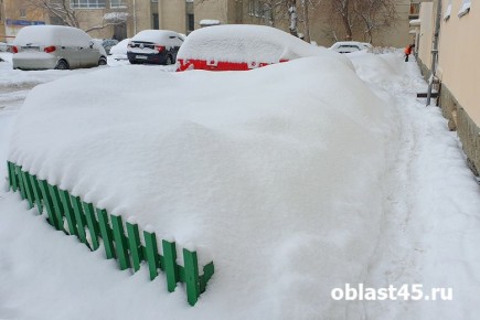 �� ������� ������� 44 ������ ���� �����: ������ ������ ������������