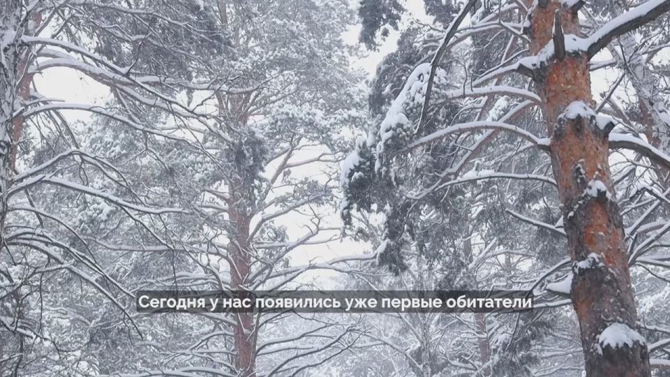 ������ ���������� - ���� ���, ������ � ����� - ���������� � ���������� �������� � ������� ��������� ��������� ������