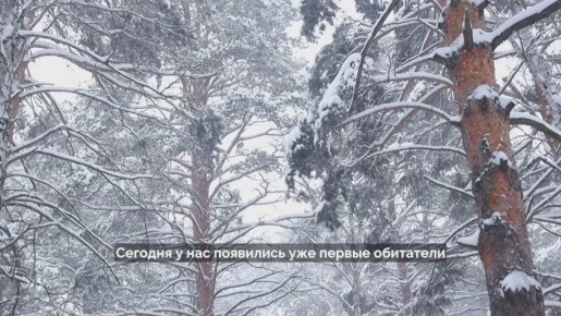 ������ ���������� - ���� ���, ������ � ����� - ���������� � ���������� �������� � ������� ��������� ��������� ������