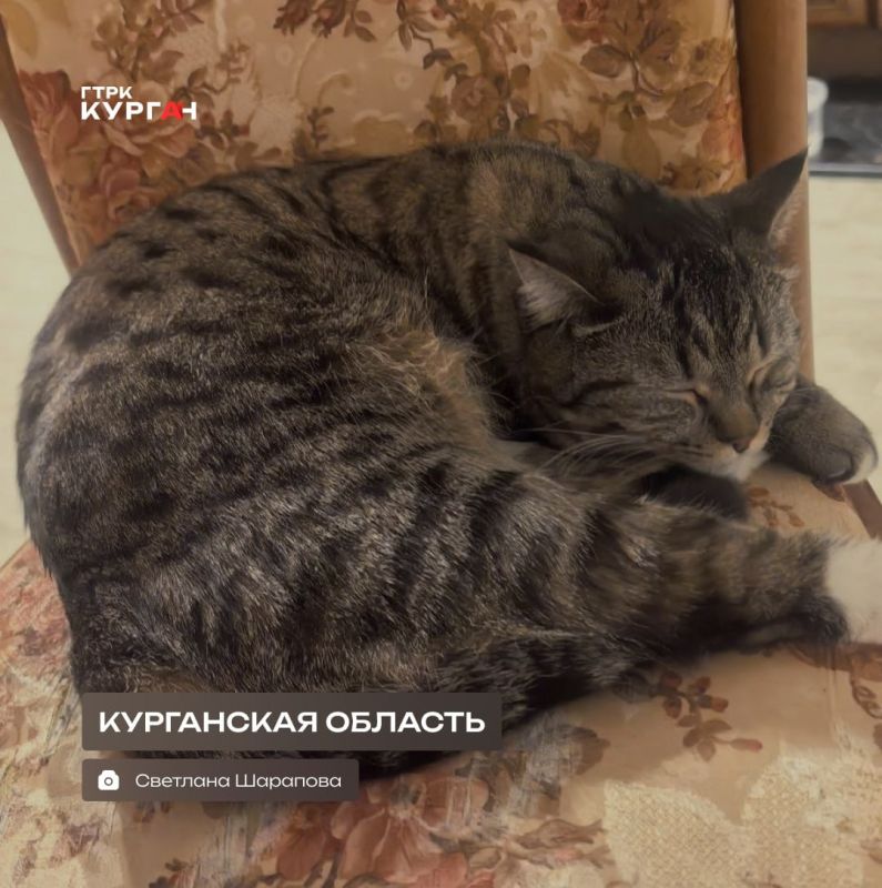 ������ ����, ���������!. ������� � ������� ����� ����� ������ ��� �������