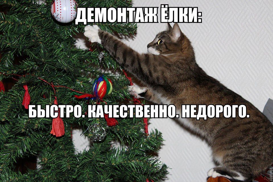 ����� ����� ������� ���������� ����? ������ ������ �����������