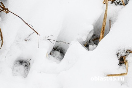 �� ������� ���� �� ���������� ��������: ������� ���������� �� � ���������� �������