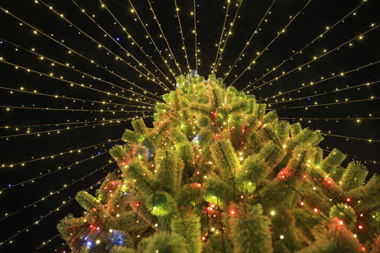 Дорогие друзья, продолжаем публиковать для вас программу на каникулы