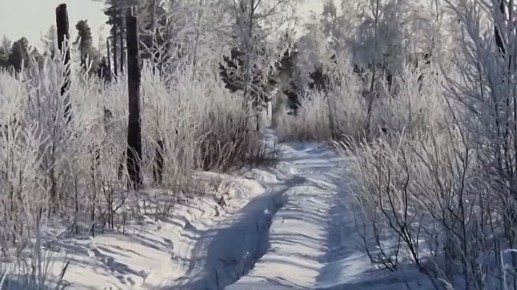 ����� ����� �� ������ � ���� ���������� � ���������� �������