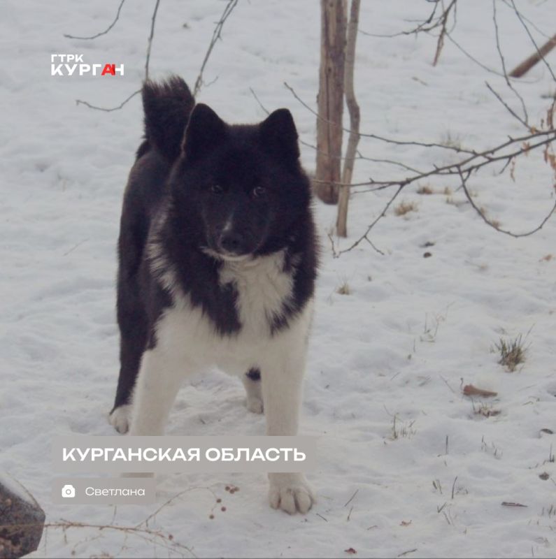 ������ ����, ���������!. ���� � ������� ����� ���������