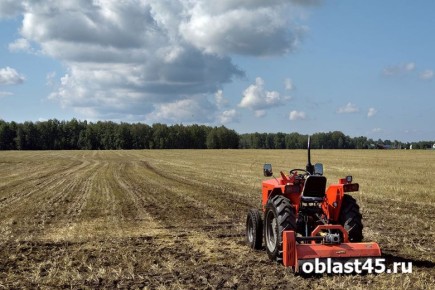 Курганская область планирует вернуть в оборот десятки тысяч гектаров сельхозземель