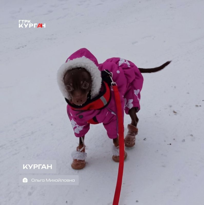 ������ ����, ���������! � ������� ����� ������!